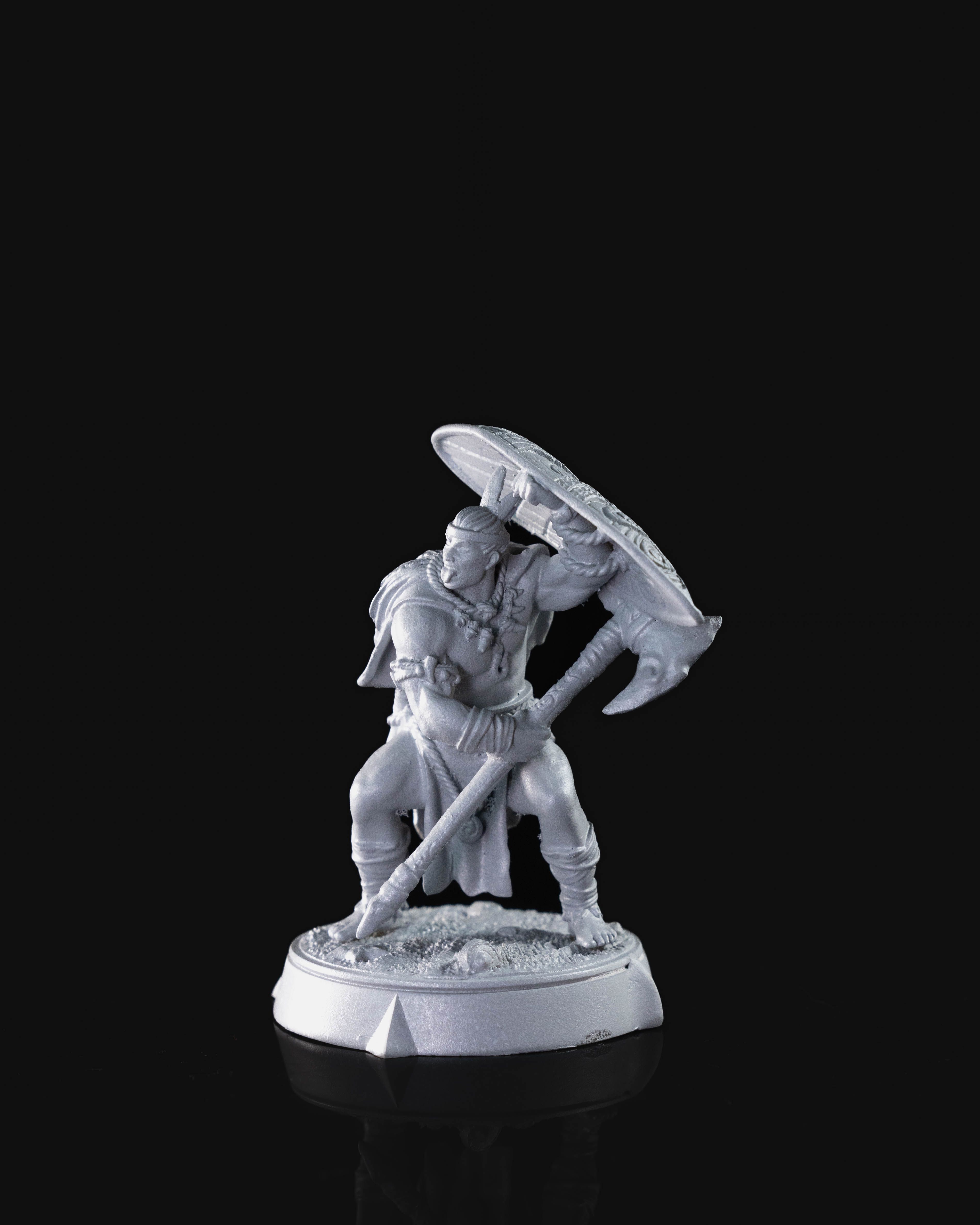 Koa, The Champion - NPC